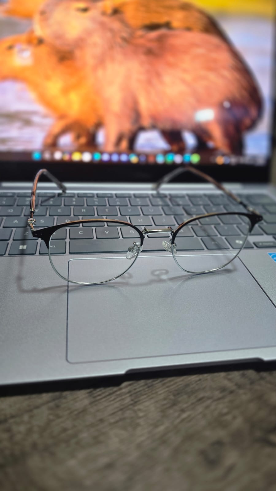 Anteojos Optiqq sobre una notebook